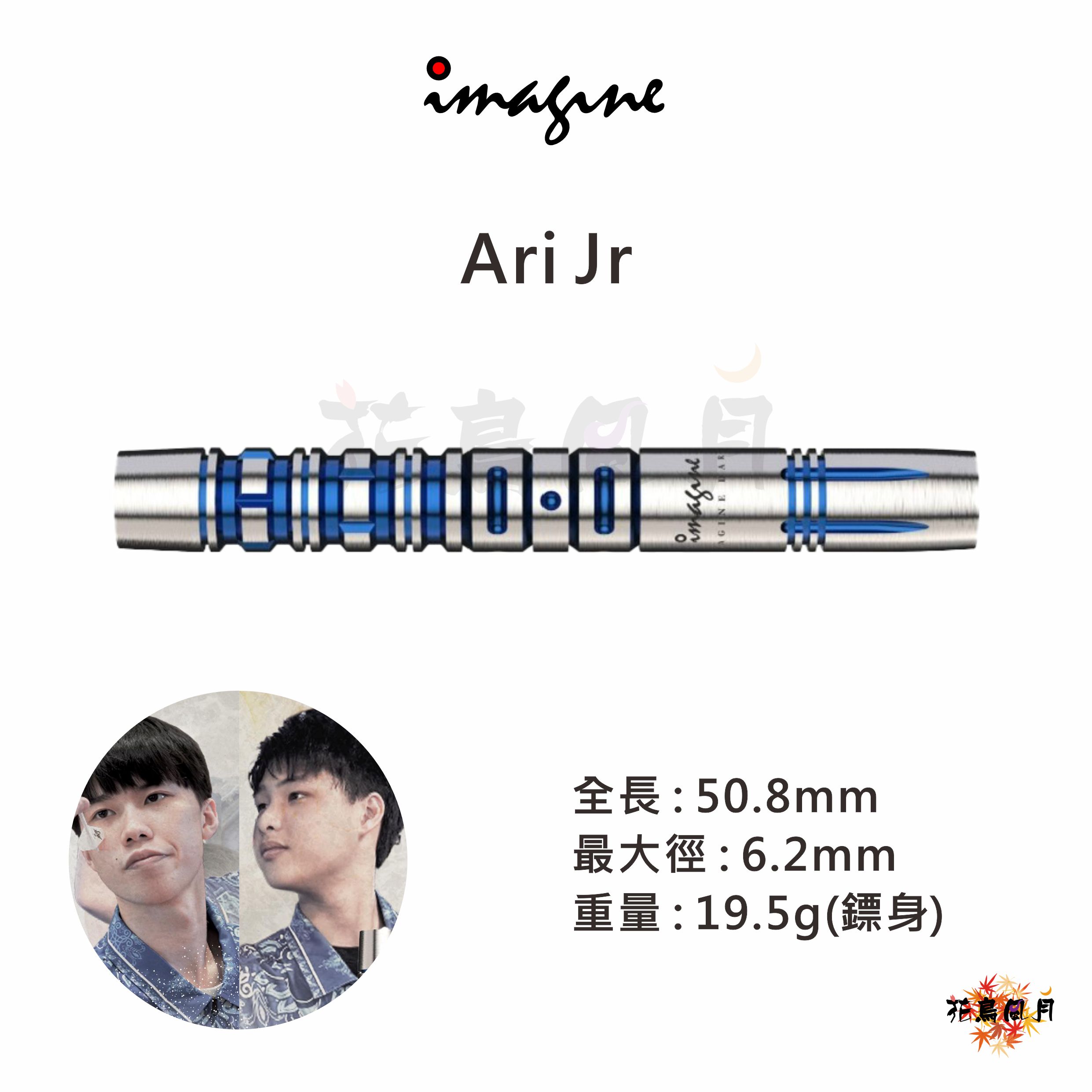 IMAGINE-AriJr 
