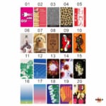 Dartslive-Card202504