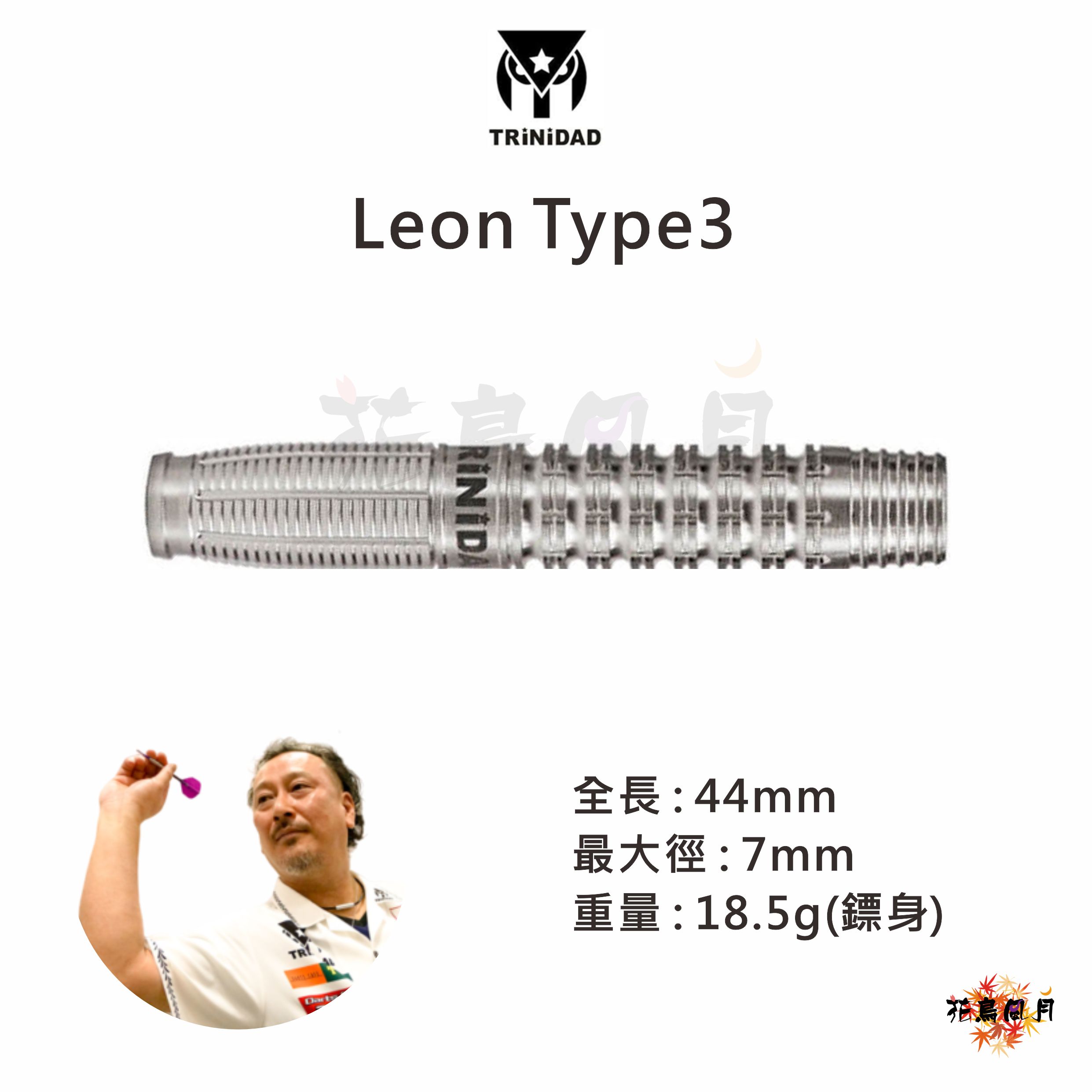 TRiNiDAD-LEON3