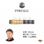 TARGET-Hoshino-PYRO11