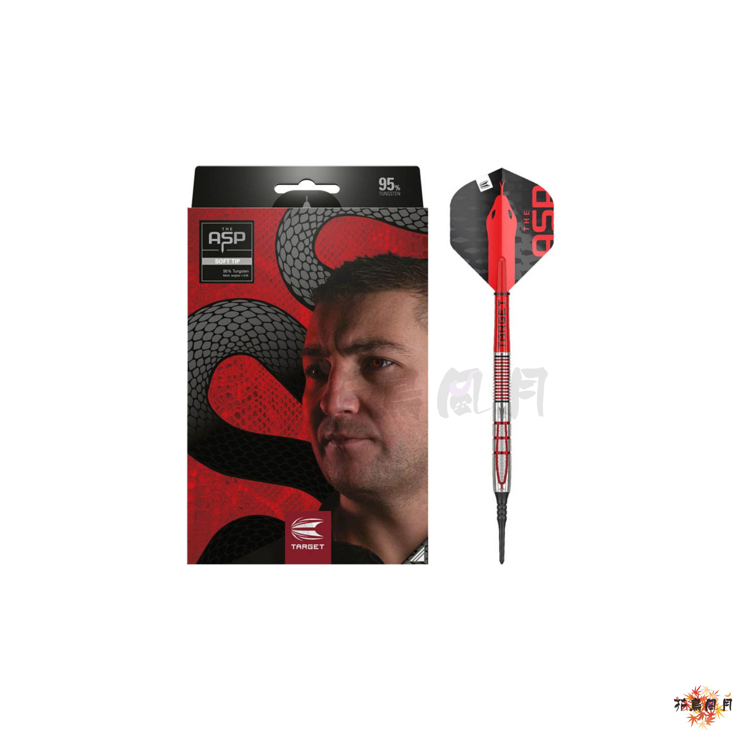 TARGETターゲット-NATHAN-ASPINALL-G2-2BA-18g-＜210333＞-ネイサン・アスピナル選手モデル外盒.jpg