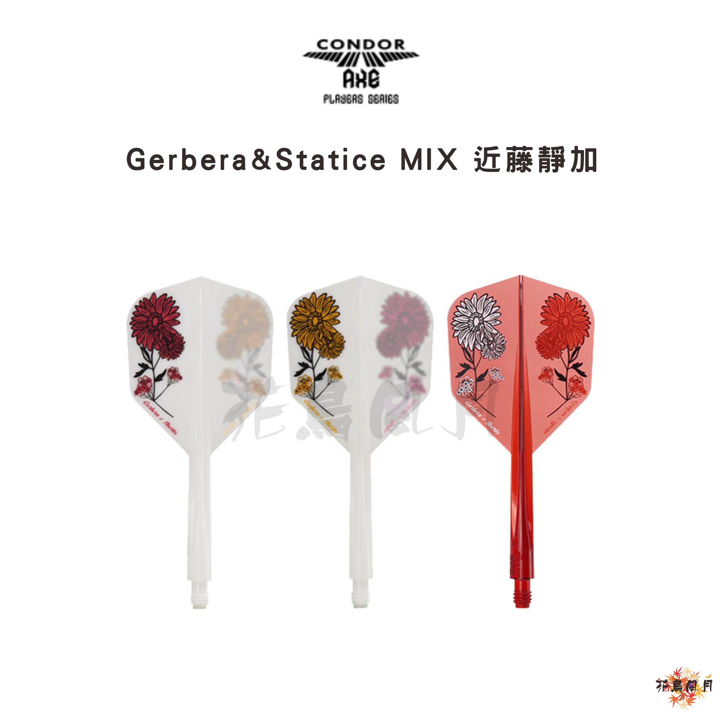 CONDOR-AXE-Gerbera & Statice